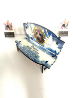Personalized Memorial Benches